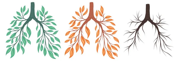 Conjunto Vectorial Pulmones Humanos Hojas Ramas Verdes Anaranjadas Salud Que — Archivo Imágenes Vectoriales