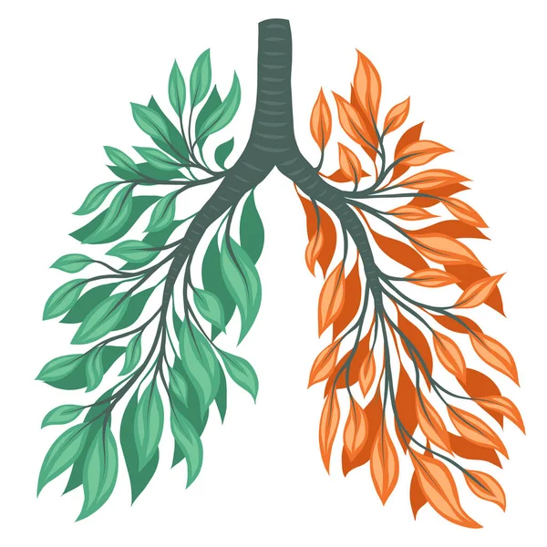 Vektorové Znázornění Lidských Plic Zelených Oranžových Listů Větví Slábnoucí Zdraví — Stockový vektor