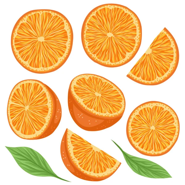 Conjunto Ilustración Vectorial Naranja Con Rebanada Follaje Aislado Del Fondo — Vector de stock