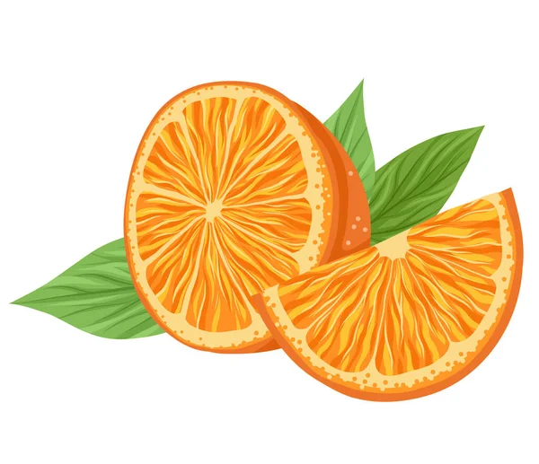 スライスと葉の組成を持つカットオレンジのベクトルイラスト 柑橘類のイメージ バナー ステッカー カードのための夏のジューシーなフルーツとクリップアート — ストックベクタ