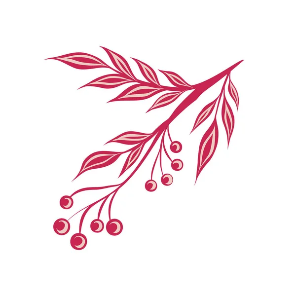 Vector Illustration Decorative Rowan Branch Twig Berries Foliage Ornament Trendy — Stock Vector