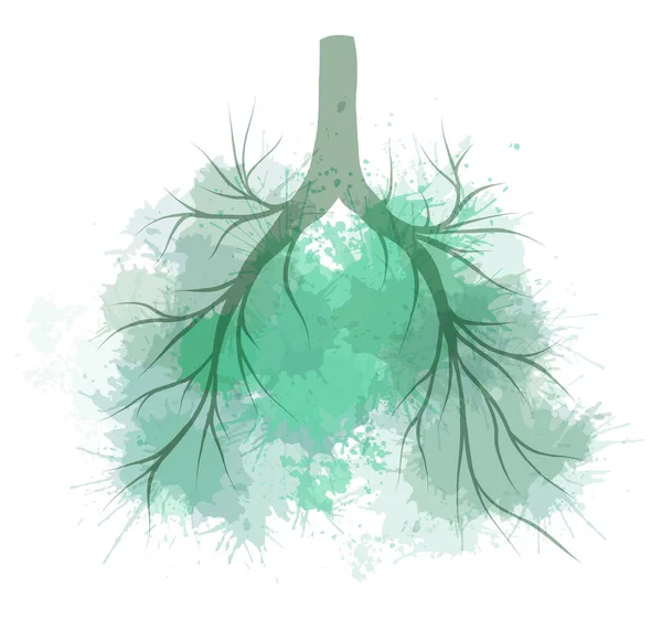 Vektor Akvarell Illustration Mänskliga Lungor Med Gröna Stänk Mänskligt Organ — Stock vektor