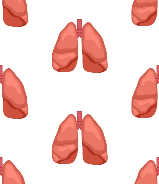 Bezproblémový Lékařský Vzorec Zdravými Lidskými Plícemi Vnitřní Orgány Řadě Bílém — Stockový vektor