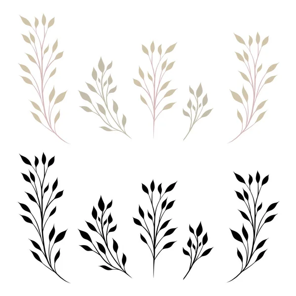 背景から分離された葉を持つ枝のベクトルセット アイコン デザイン要素のための葉と黒のシルエットとフラットスタイルの茎のコレクション — ストックベクタ
