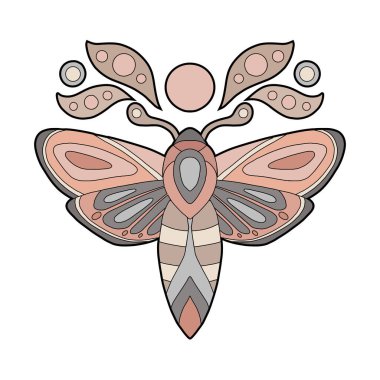 Ay 'ın rengarenk güvesinin vektör entomolojisi zirvesi. Renk çizgisi kelebek çizimi. Kartpostallar, süblimleşmeler, çıkartmalar ve afişler için uçan bir böceğin çizgili resim