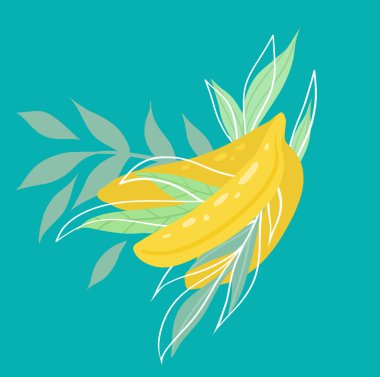 Turkuaz bir zemin üzerinde muz ve yaprakların düz vektör çizimi. Kartpostallar, menüler ve tarifler için yapraklı sulu tropikal meyve