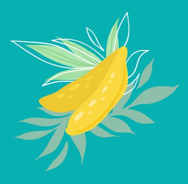 Yapraklı sulu bir tropikal meyvenin düz el çizimi. Kartpostallar, menüler ve tarifler için turkuaz arka planda muz ve yapraklar.