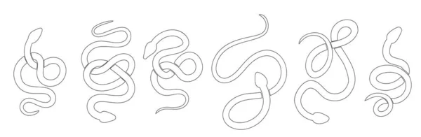 Conjunto Vetorial Silhuetas Contorno Pretas Cobras Várias Poses Coleção Cobras — Vetor de Stock