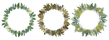 Yapraklardan, çalılardan ve metin için mekândan oluşan yuvarlak vektör çerçeveleri kümesi. Arka plandan izole edilmiş doğal çelenk. Davetiyeler ve kartlar için çerçeve