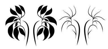 Yaprak ve dallardan tek renkli insan böbrekleri seti. Sağlıklı ve çevre dostu bir yaşam tarzı. Yapraktan yapılmış anatomik organların siyah siluetleri. Tıbbi makaleler için illüstrasyon