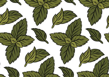 Elle çizilmiş nane yapraklı vektör pürüzsüz desen. Beyaz arka planda nane şekeri dokusu. Kumaş ve duvar kağıtları için arkaplan bırakır