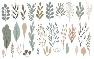 İskandinav minimalist botanik vektör seti, basit geometrik yapraklar ve dallar, okaliptüs, canavar, eğrelti otu, zeytin dalları, elle çizilmiş temiz stil, dünyevi pastel palet. modern scandi biçimi