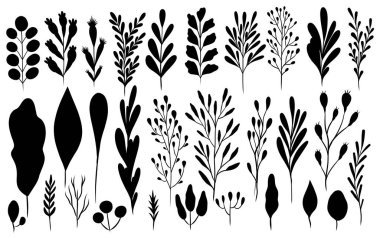 Basit geometrik yaprak ve dallardan oluşan İskandinav minimalist botanik vektör kümesi, ince dallar, elle çizilmiş temiz stil. Monokrom modern scandi tarzı
