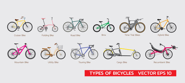 Set of differrent types of bicycles flat infographic vector illustration colorful 