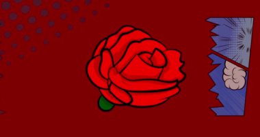 Kırmızı Gül çizgi filmi, çizgi roman romantik çiçek videosu. Retro çizgi roman pop sanat tasarımı animasyonu.