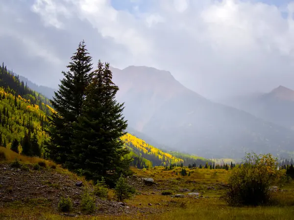 Kolorado 'da sonbahar mevsimi. Sarı battaniye dağ bölgesini kaplıyor. Uzakta Yüksek Kayalıklar. 