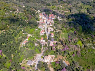 Yemyeşil bir arazide yuva yapmış tuhaf bir köyün havadan görünüşü..
