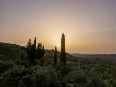 Selvi ağaçlarının siluetleriyle huzurlu bir manzaranın üzerinde huzurlu günbatımı.