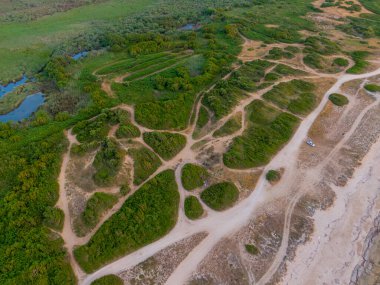 Bereketli bitki örtüsü ve kumlu patikaları olan kıyı manzarası..