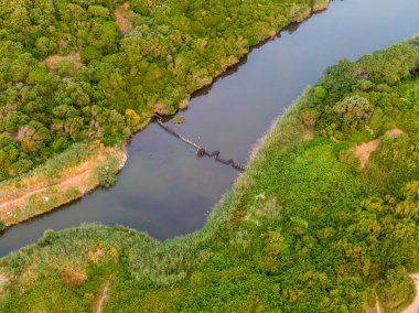 Bereketli yeşil bitkilerin arasından akan sakin bir nehrin havadan görünüşü..