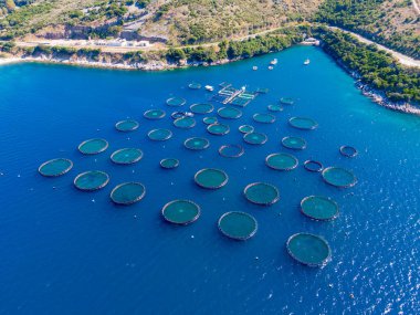 Aerial view of fish farms in the ocean. clipart