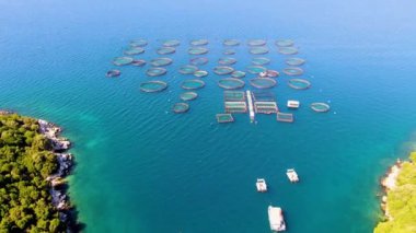 Mavi denizde dairesel kaplamalı balık çiftliğinin havadan görünüşü.