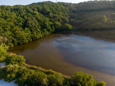 Bereketli yeşil yaprakların arasına kurulmuş dingin bir gölün havadan görünüşü.