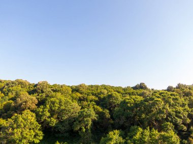 Berrak mavi gökyüzünün altında yemyeşil yamaçlı sakin turkuaz koy..