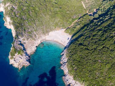Tenha bir sahilin havadan görünüşü turkuaz su ve yemyeşil bir koyda yuva yapmış..