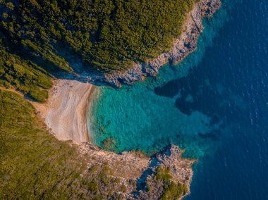 Tenha sahil koyunun havadan görünüşü turkuaz su ve yemyeşil..