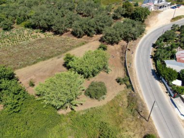 Yol, ağaçlar ve tarlalarla dolu kırsal arazinin havadan görünüşü.