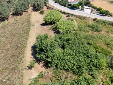 Ağaçlar, tarlalar ve bir yol olan kırsal alan manzarası.