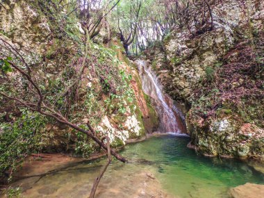 Küçük şelale suları sulak, kayalık bir vadi içinde sakin bir havuza dökülüyor..