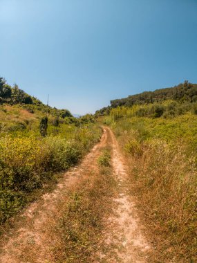 Açık mavi gökyüzünün altındaki çimenli tepelerde kirli yol.