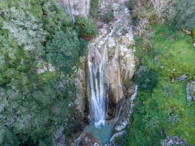 Serene şelalesi kayalık kayalıklardan aşağı süzülüyor, yemyeşil sularla çevrili. Sakin bir doğa sahnesi..