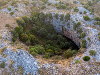 Bereketli bitki örtüsüyle çevrili kayalık bir arazide büyük bir subatan manzarası..