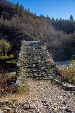 Kuru bir nehir yatağının üzerindeki antik taş köprü, sakin bir orman ortamında kurulmuş..