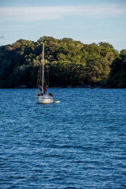 Sakin bir günde, ormanlık bir kıyı şeridinde demirli bir yelkenli. Huzurlu sular ve sakin bir manzara..