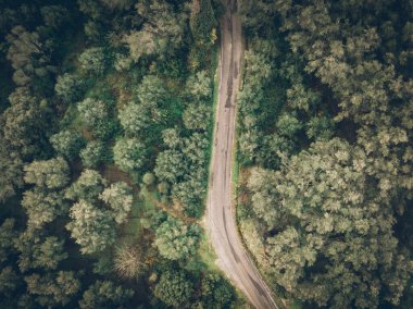 Yemyeşil bir ormanı kesen dolambaçlı bir yolun havadan görünüşü. Doğanın yolu..