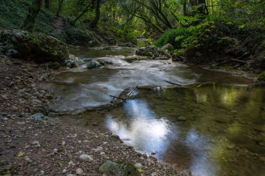Kayaların ve çakıl taşlarının üzerinden akan huzurlu orman akıntısı, suyun yüzeyini süsleyen güneş ışığı..