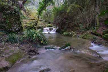 Bereketli bir ormanın içinden akan, yosun kaplı kayaların üzerinde çağlayan sakin bir dere..