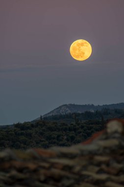 Büyük, altın dolunay, tepeler ve ağaçlardan oluşan karanlık bir manzaranın üzerinde yükseliyor..