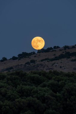 Büyük turuncu ay karanlık bir tepenin ve ormanın üzerinden yükseliyor..