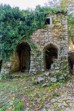 An abandoned stone house overgrown with ivy. clipart