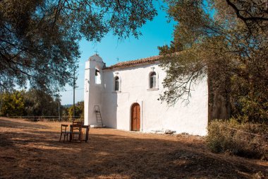 Güneşli bir günde, beyazlatılmış kilise zeytin ağaçlarının arasına kurulmuş..