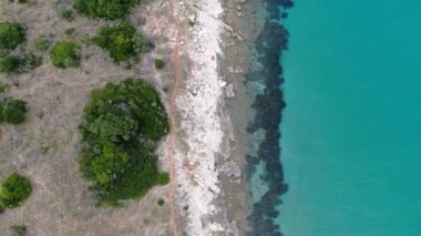 Kuzey Korfu adasındaki güzel mercan resifi, Yunanistan, Avrupa