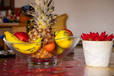 Küçük bir bitkinin yanındaki cam kasede taze meyve..