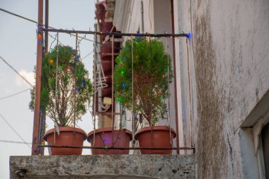 Renkli ışıkları olan bir balkonda şenlikli bitkiler.