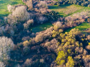 Aerial view of autumnal woodland and farmland. clipart