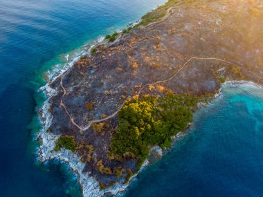 Yanmış yamaçlar, tepeler, erimitis talusu, Korfu Adası, Yunanistan. Yangından sonraki yeni hayat, alevler. İyon Adaları, Yunanistan. Yangın mahalli..